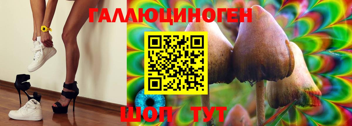 Назрань  Галлюциногенные грибы мицелий  хочу   Вход с VPN 